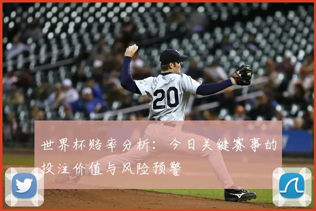 世界杯赔率分析：今日关键赛事的投注价值与风险预警