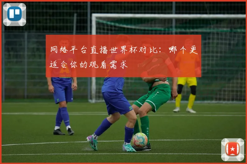 网络平台直播世界杯对比：哪个更适合你的观看需求