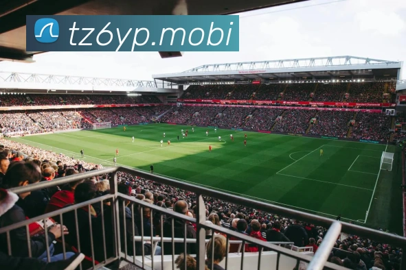 开云手机在线官网登录品牌故事